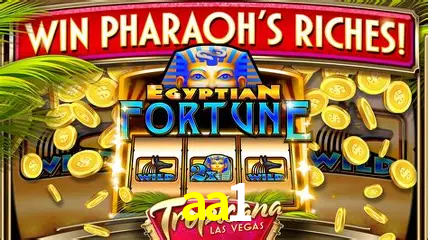 Live Casino aa1